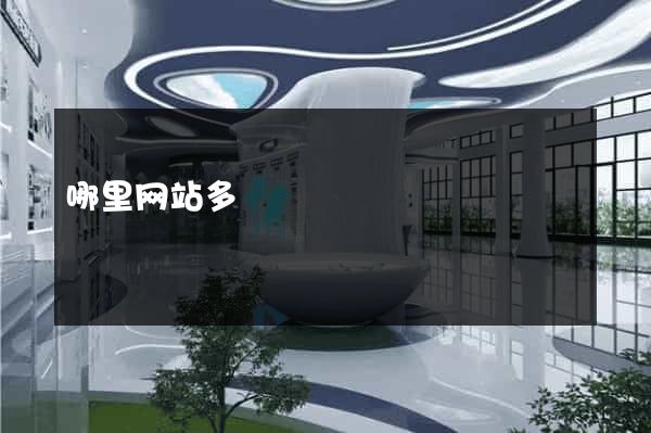 哪里网站多