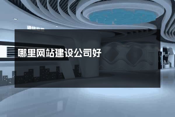 哪里网站建设公司好