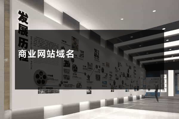 商业网站域名