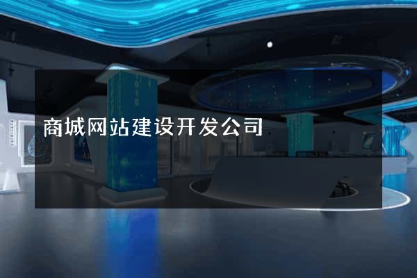 商城网站建设开发公司