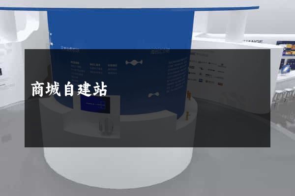 商城自建站