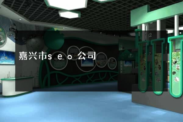 嘉兴市seo公司