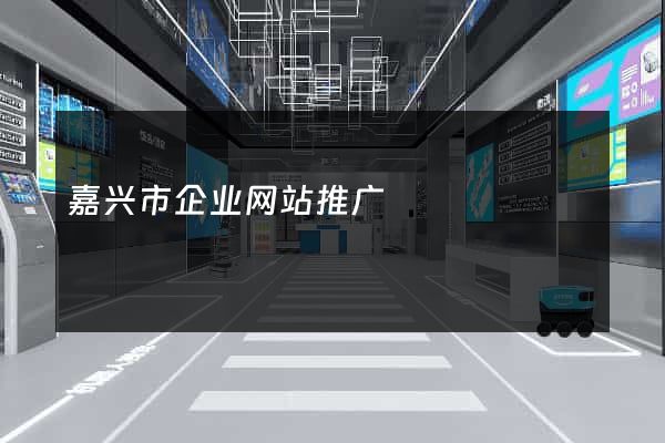 嘉兴市企业网站推广