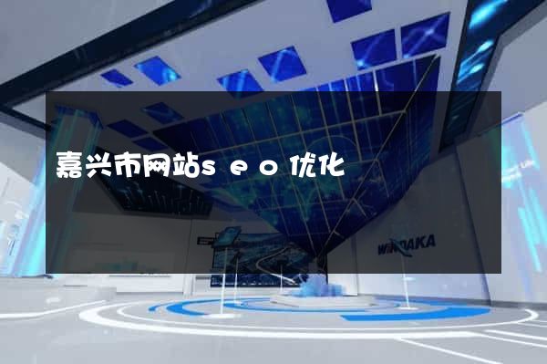 嘉兴市网站seo优化