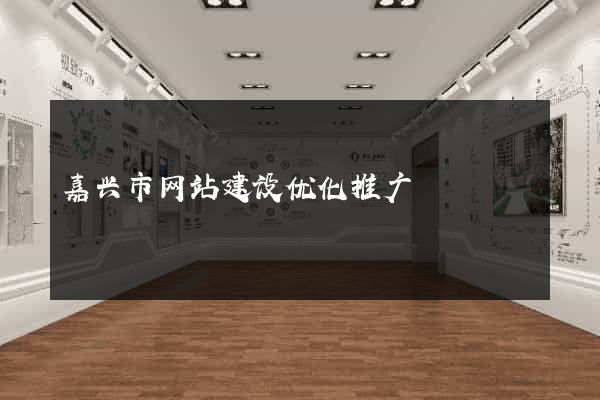 嘉兴市网站建设优化推广