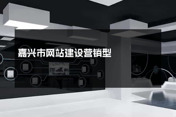 嘉兴市网站建设营销型
