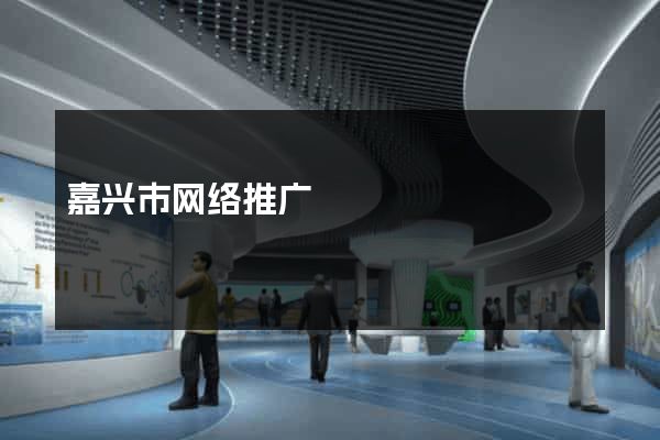 嘉兴市网络推广