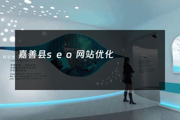 嘉善县seo网站优化