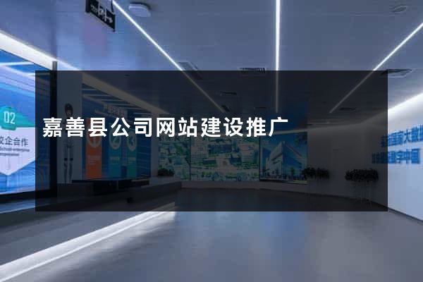 嘉善县公司网站建设推广