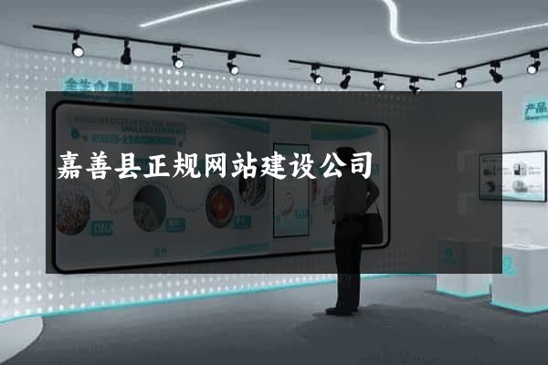 嘉善县正规网站建设公司