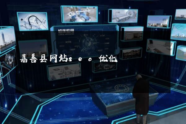 嘉善县网站seo优化