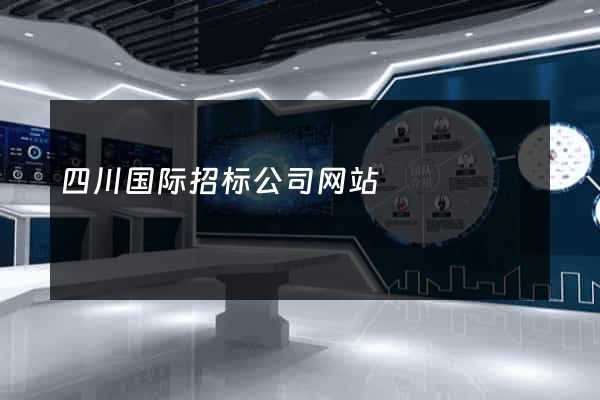 四川国际招标公司网站