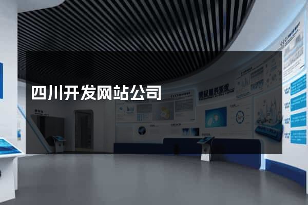 四川开发网站公司