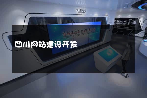 四川网站建设开发
