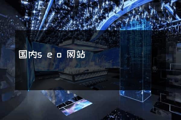 国内seo网站