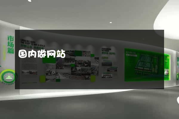 国内做网站