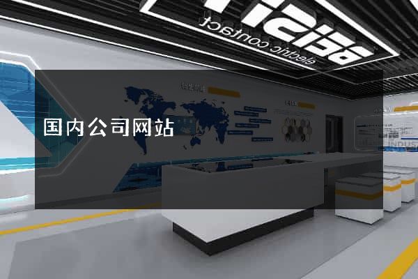 国内公司网站