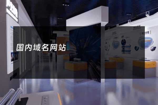 国内域名网站