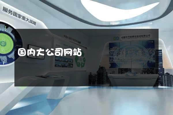 国内大公司网站