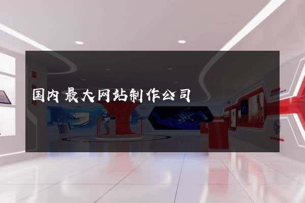国内最大网站制作公司
