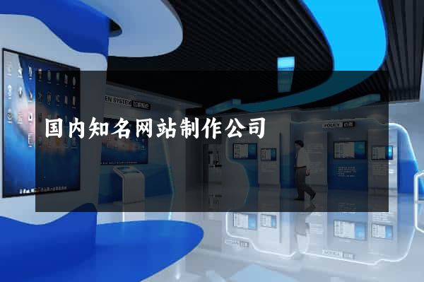 国内知名网站制作公司