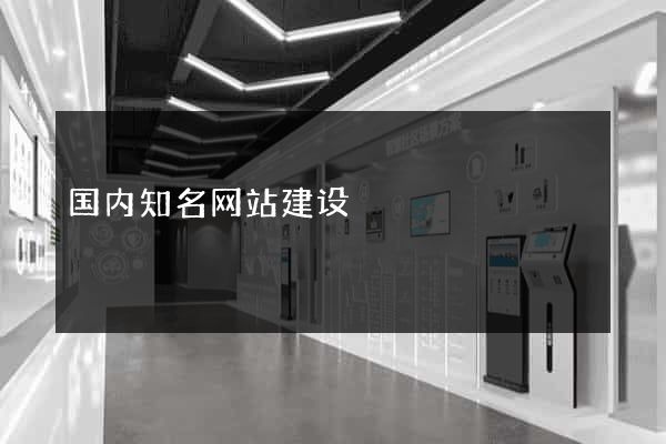 国内知名网站建设