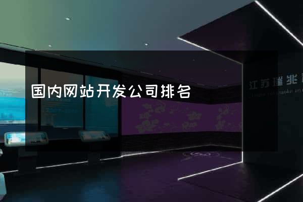 国内网站开发公司排名