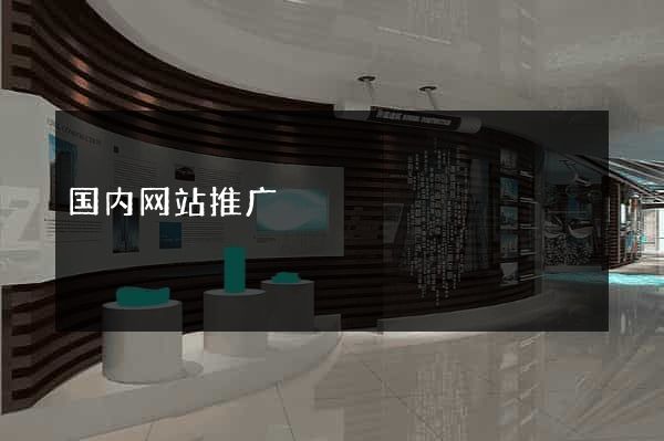 国内网站推广