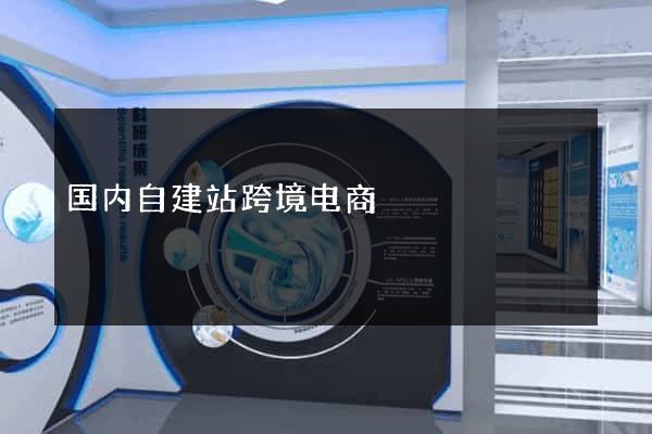 国内自建站跨境电商