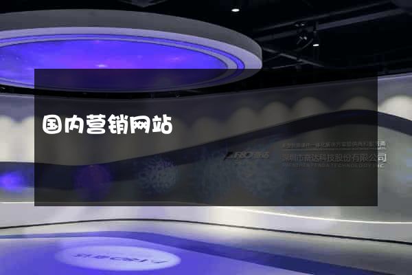 国内营销网站