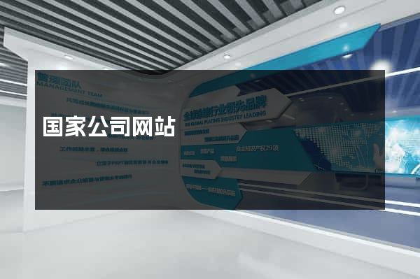 国家公司网站