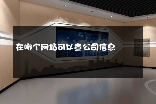 在哪个网站可以查公司信息