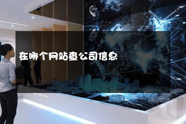 在哪个网站查公司信息