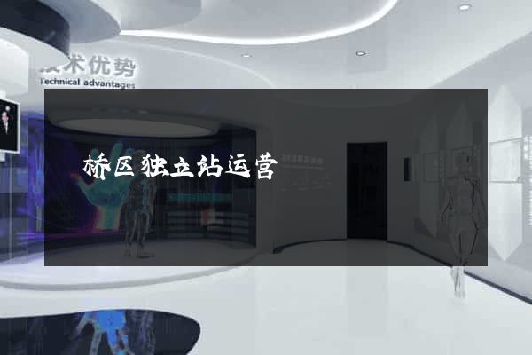 埇桥区独立站运营