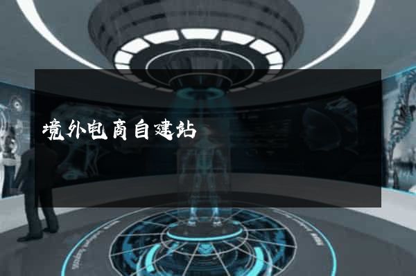 境外电商自建站