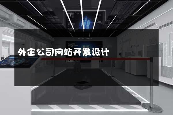 外企公司网站开发设计