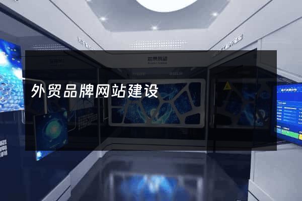 外贸品牌网站建设