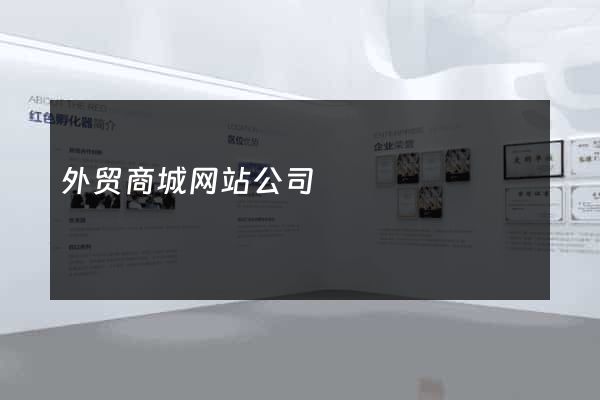 外贸商城网站公司