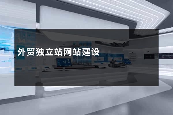 外贸独立站网站建设