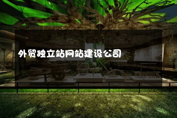 外贸独立站网站建设公司