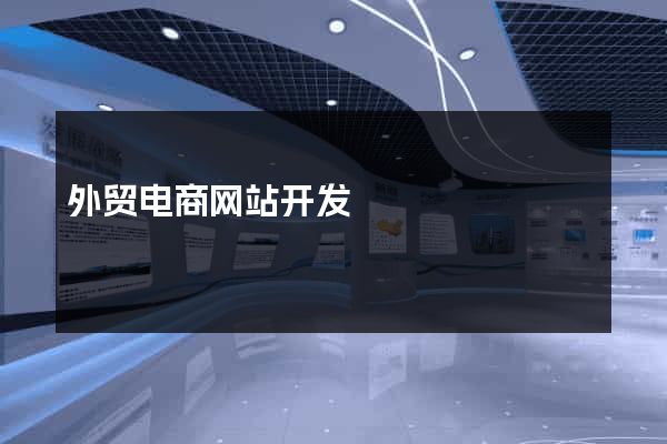 外贸电商网站开发