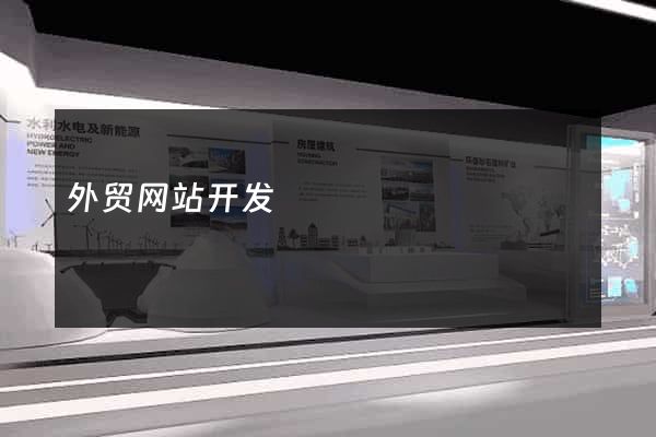 外贸网站开发