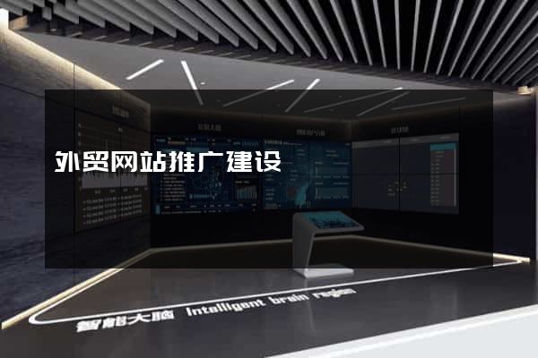 外贸网站推广建设