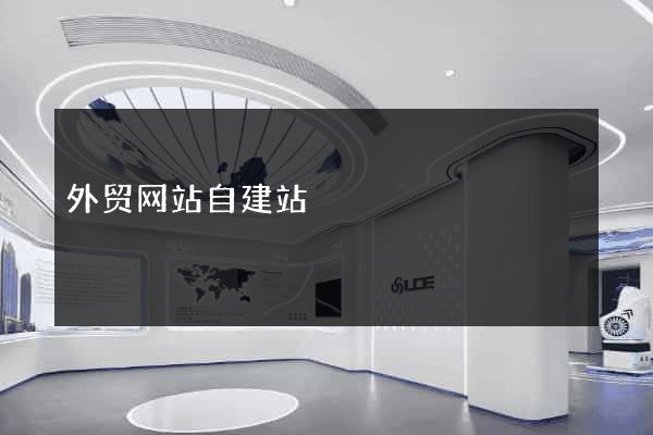 外贸网站自建站