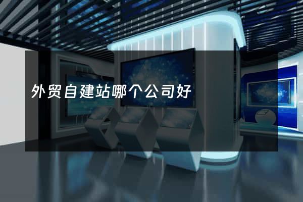 外贸自建站哪个公司好