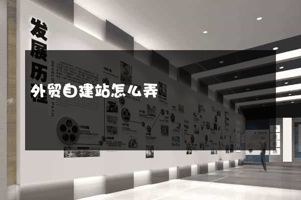 外贸自建站怎么弄