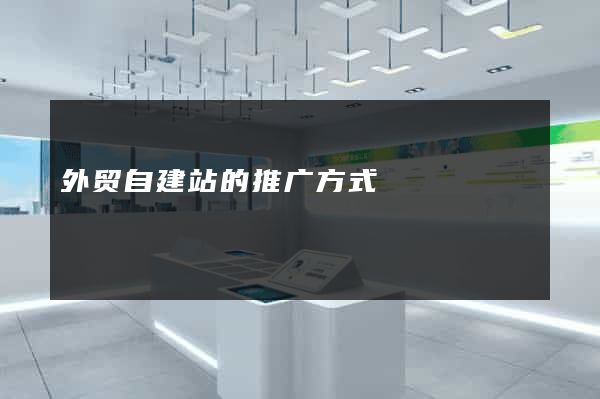 外贸自建站的推广方式
