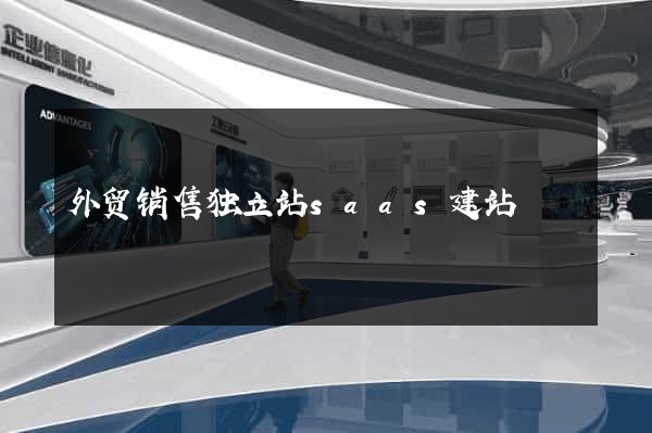 外贸销售独立站saas建站