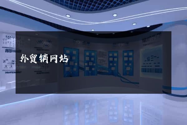 外贸销网站