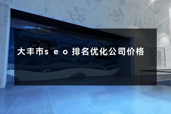 大丰市seo排名优化公司价格